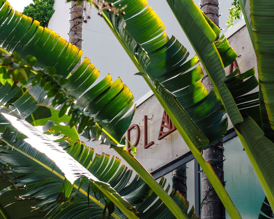 PLANTA Queen | New York