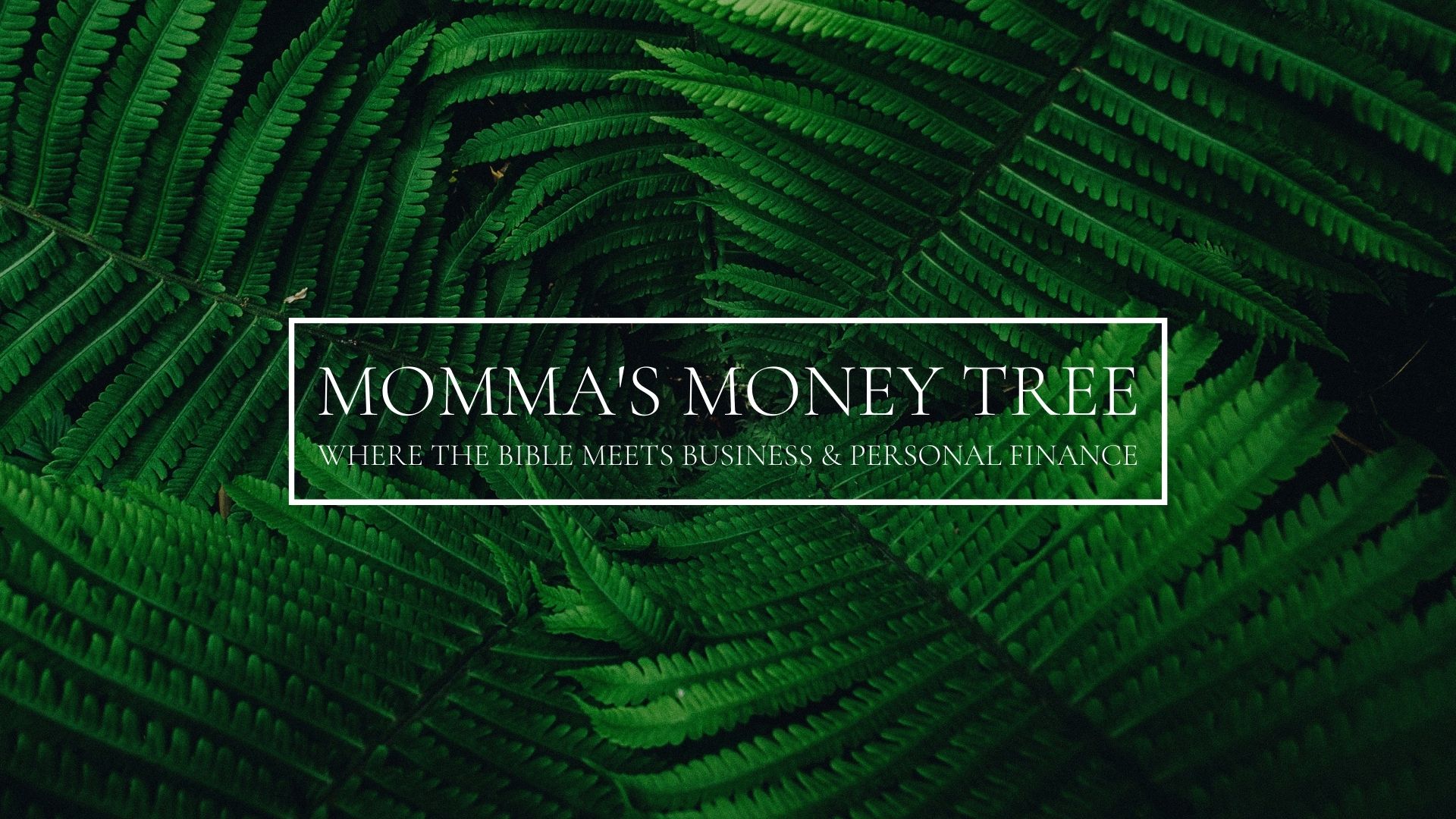Momma’s Money Tree
