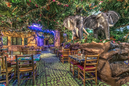 Jungle Cafe