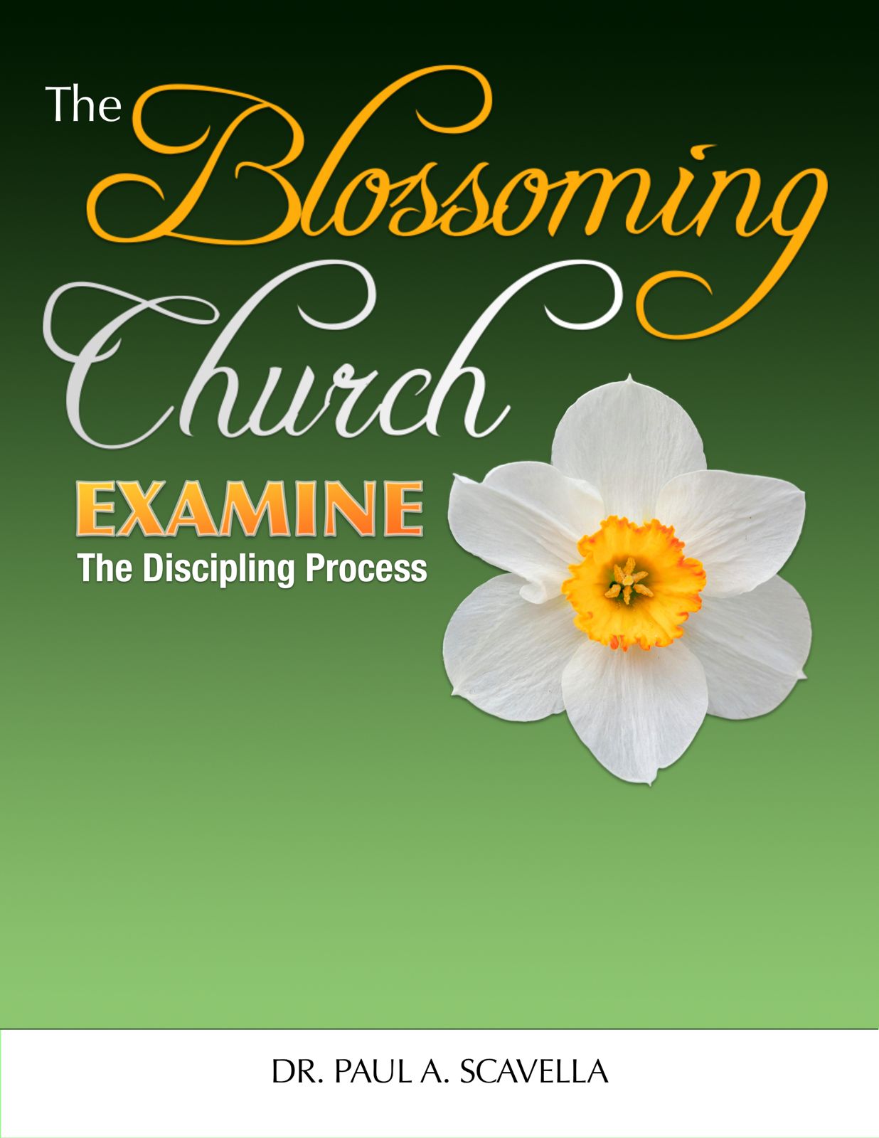 The Blossoming Place Life Coaching Academy