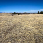 Colorado Real Estate Broker – Prowant & Company