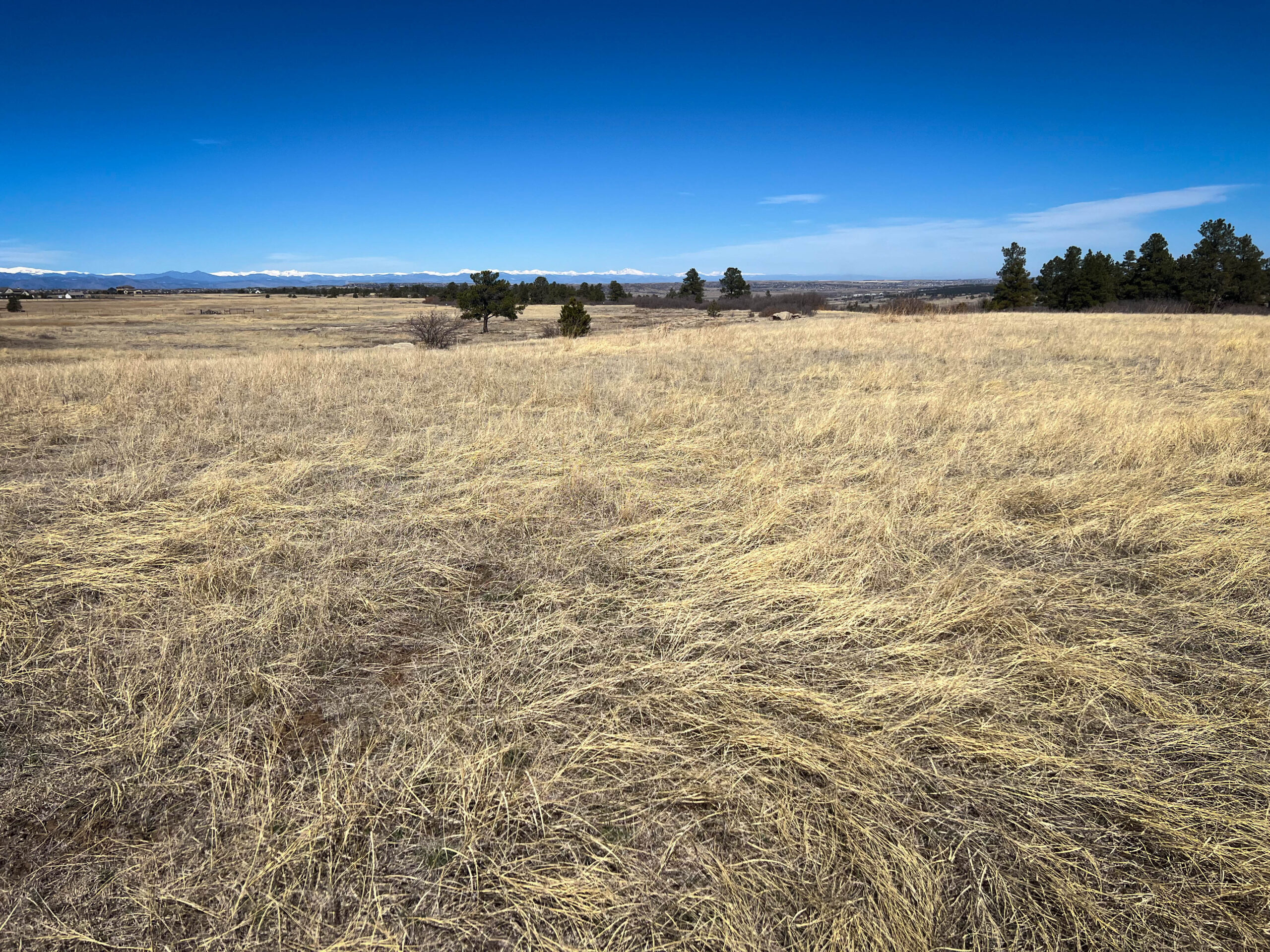 Colorado Real Estate Broker – Prowant & Company